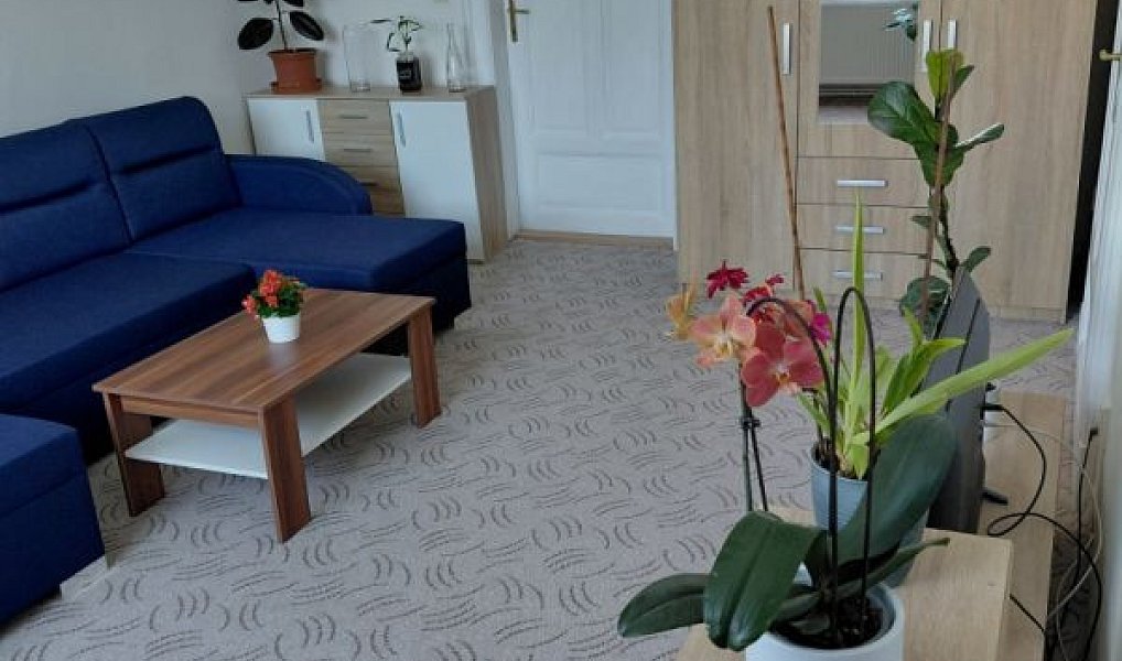 Prodej bytu 2+1 83 m², Kroměříž – náhled fotky 8