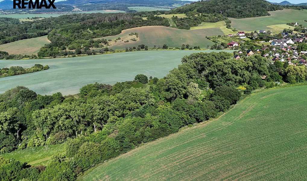 Prodej lesa 5 841 m², Skršín – náhled fotky 14