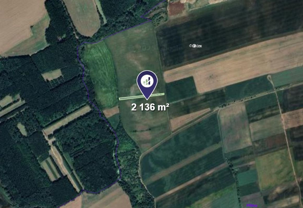 Prodej pole 2 136 m² – fotografie 2