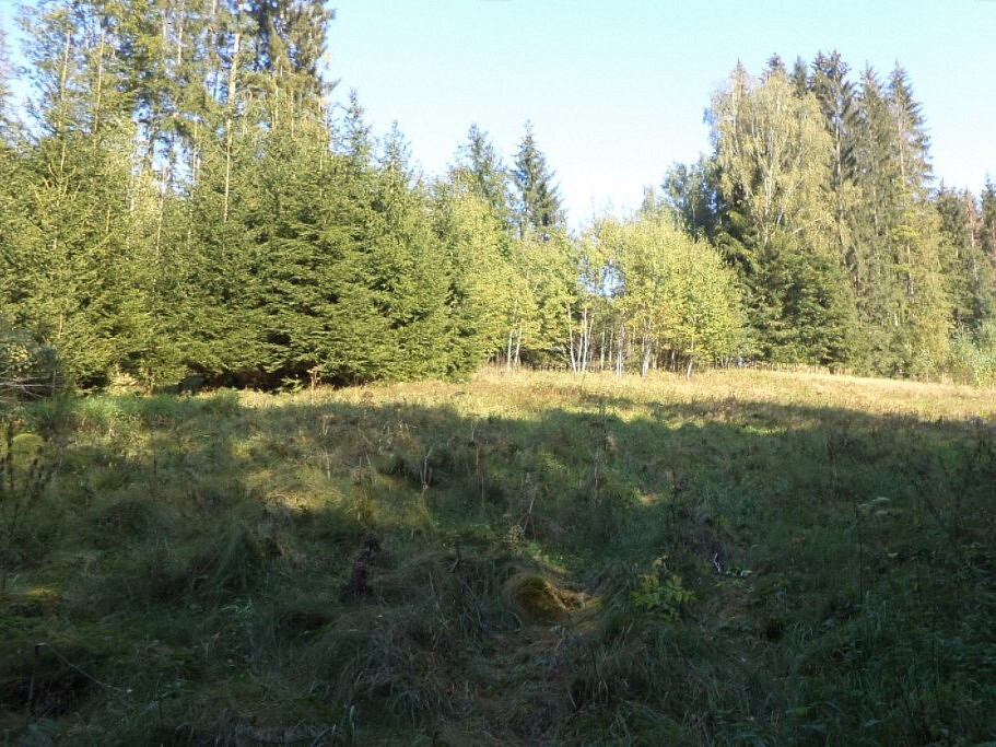 Dražba louky 496 m² — photo 2