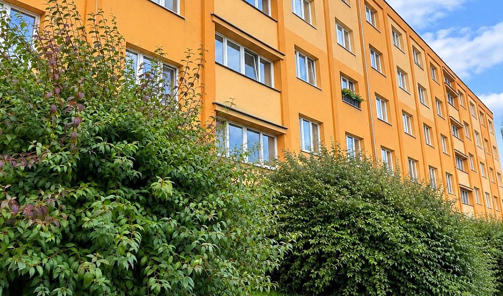 Pronájem bytu 3+1 76 m², Plzeň – náhled fotky 25