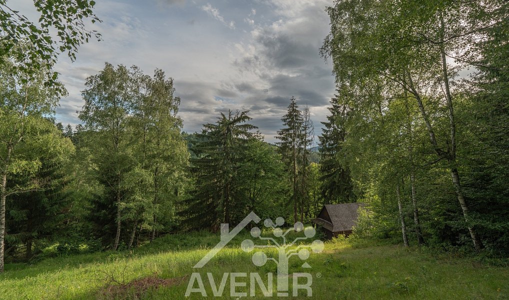 Prodej domu 168 m² s pozemkem 34 525 m², Mosty u Jablunkova – náhled fotky 40