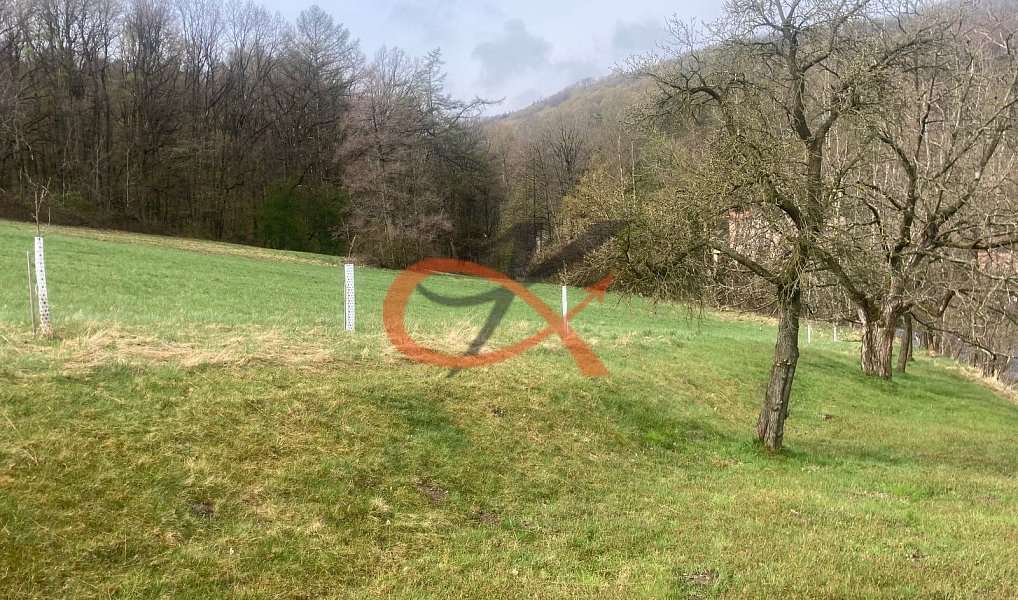 Prodej stavebního pozemku 9 208 m², Háj ve Slezsku – náhled fotky 7