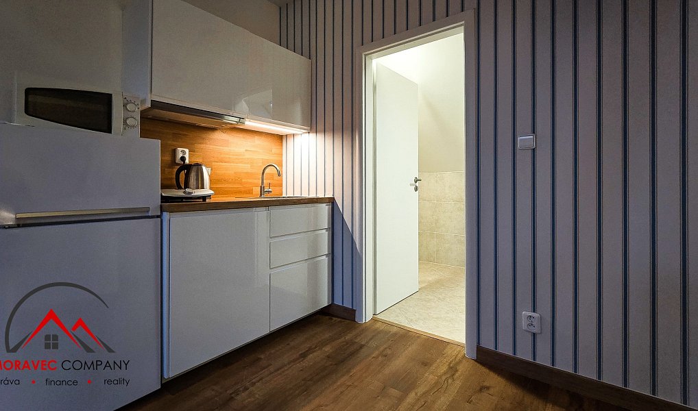 Pronájem bytu 1+kk 38 m², Ostrava – náhled fotky 6