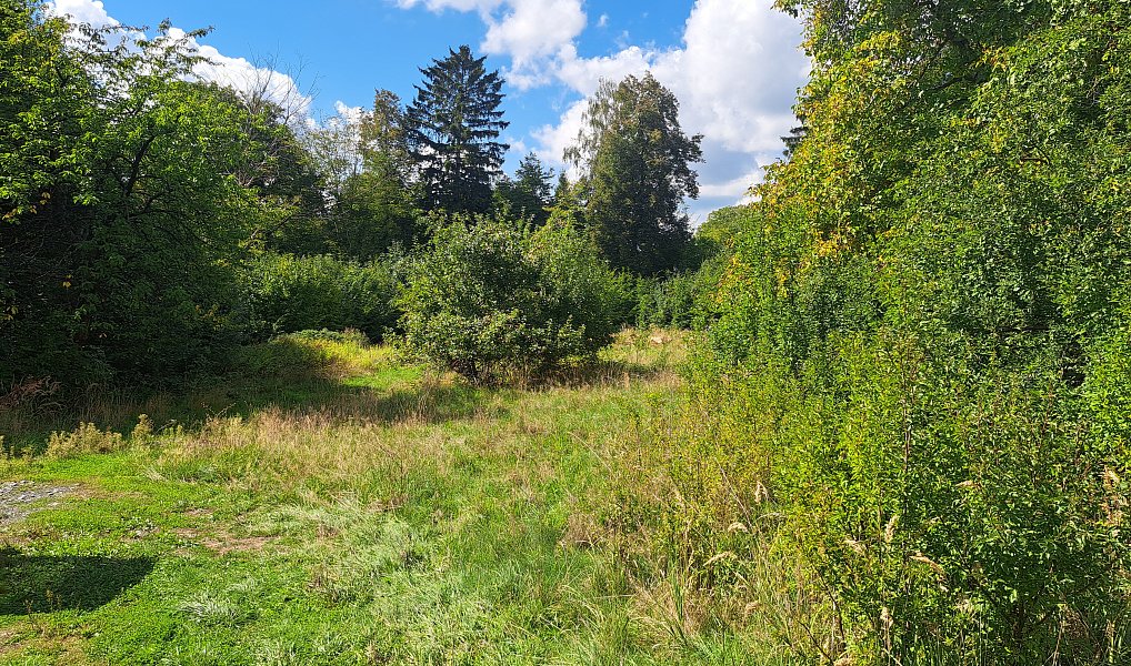 Prodej stavebního pozemku 3 619 m², Nemojov – náhled fotky 16