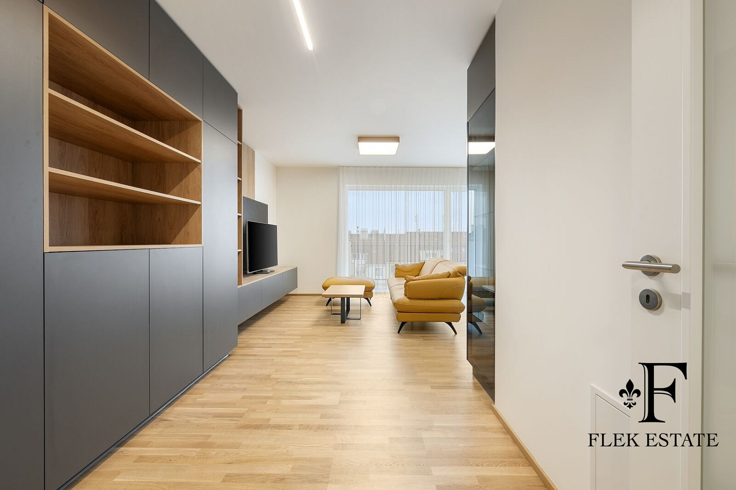 Pronájem bytu 3+kk 225 m² – fotografie 4