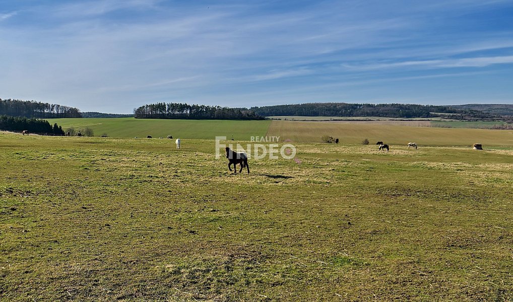 Prodej pole 2 165 m², Újezd – náhled fotky 4
