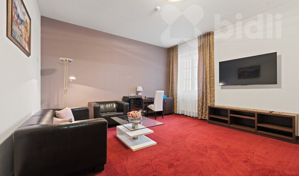 Prodej ubytovacího objektu 1 300 m², Lednice – náhled fotky 9