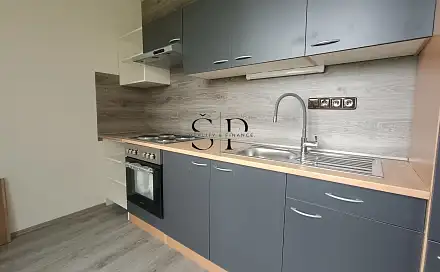 Pronájem bytu 2+kk 48 m², Nová Ves, okres Sokolov