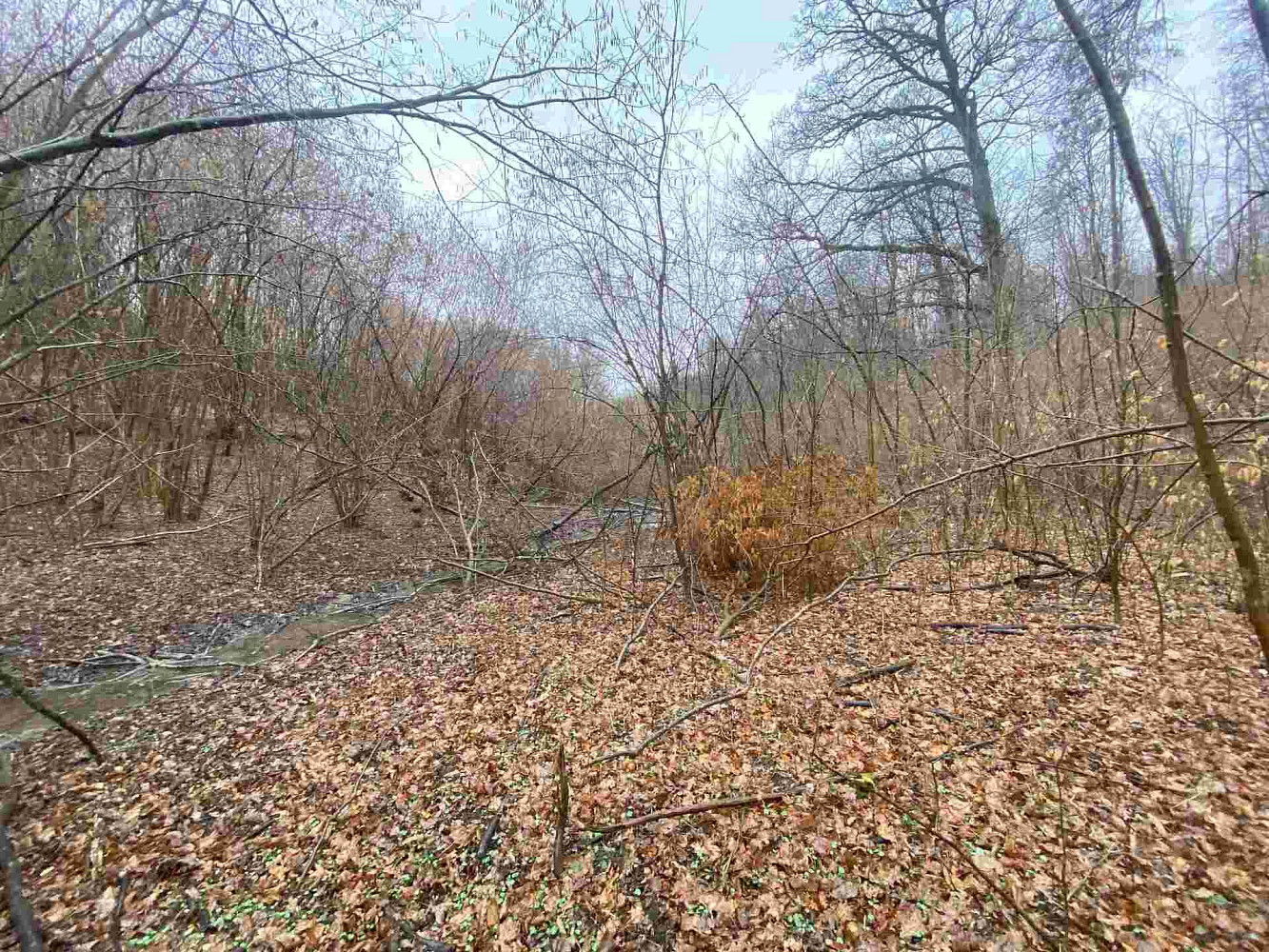 Prodej pole 3 207 m² – fotografie 4