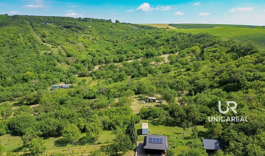 Prodej pole 3 851 m², Židlochovice – náhled fotky 10