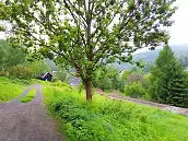 Prodej stavebn�ho pozemku 2�111�m2