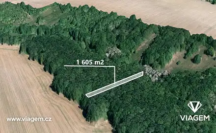 Prodej lesa 735 m², Popovice, okres Uherské Hradiště