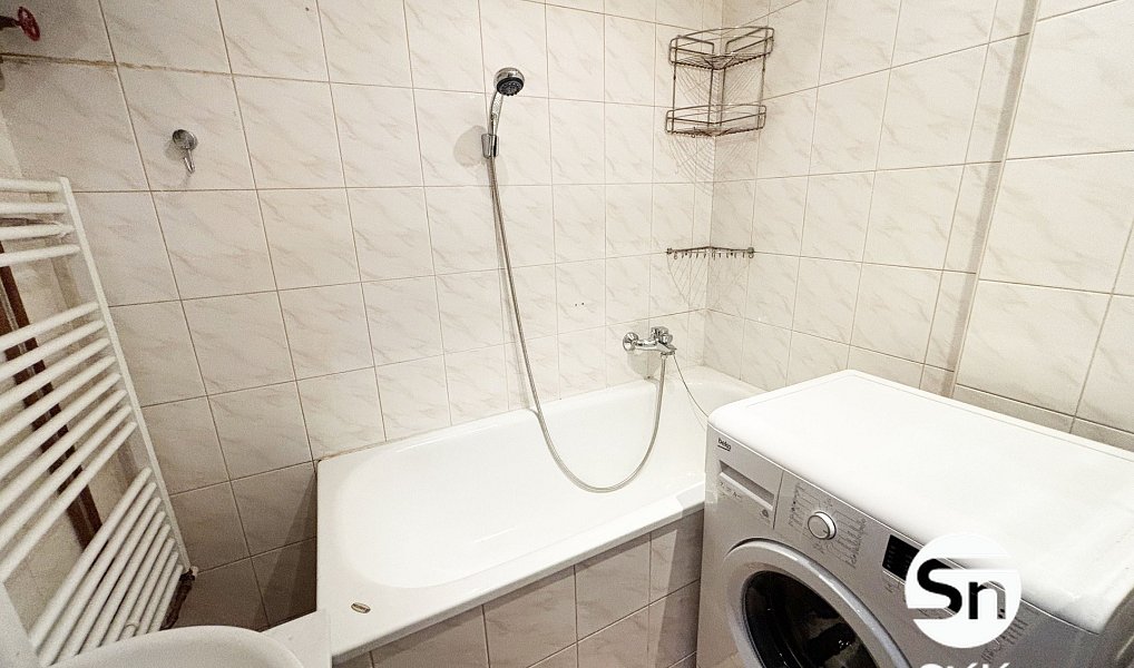 Pronájem bytu 1+1 48 m², Praha – náhled fotky 4