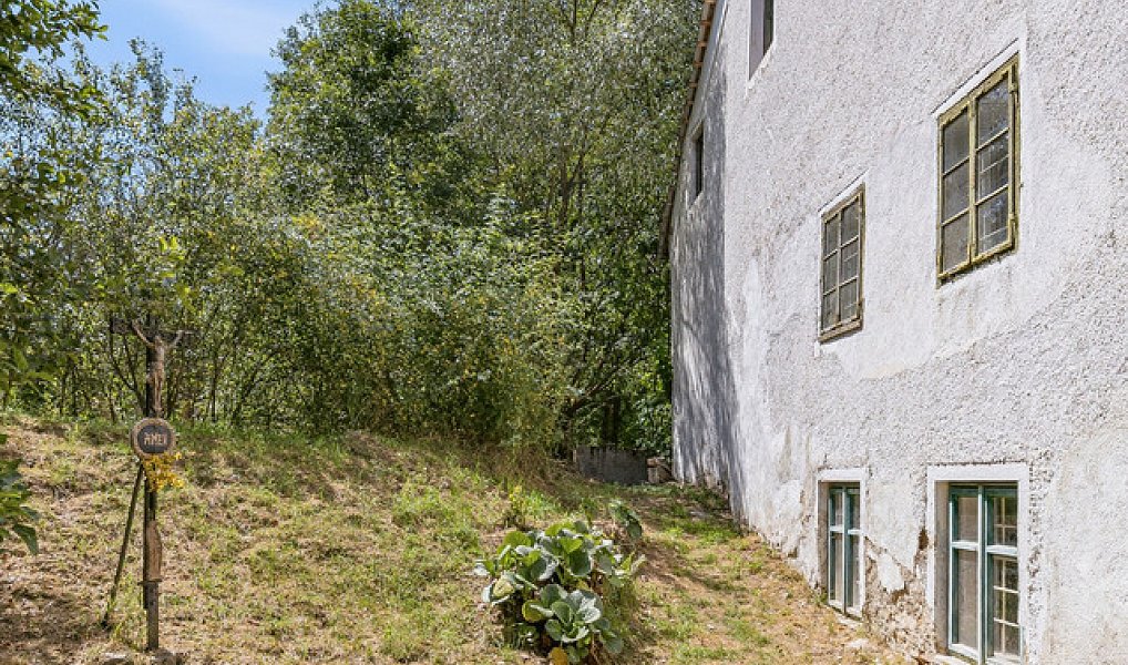 Prodej domu 120 m² s pozemkem 21 184 m², Olbramovice – náhled fotky 30