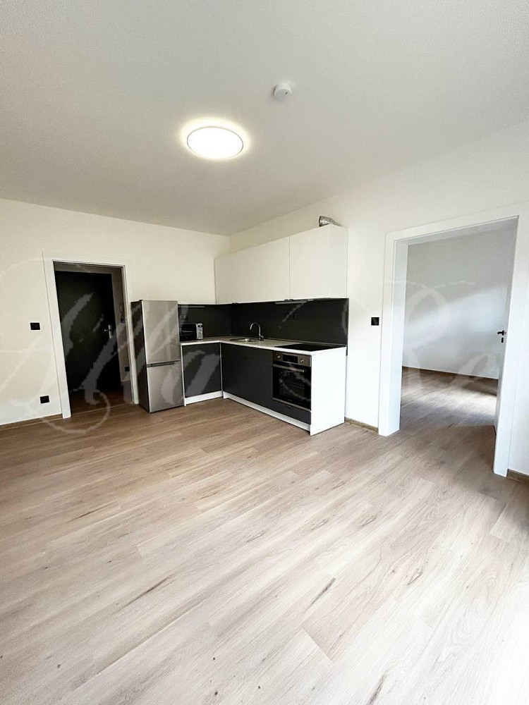 Pronájem bytu 2+kk 55 m² – fotografie 2