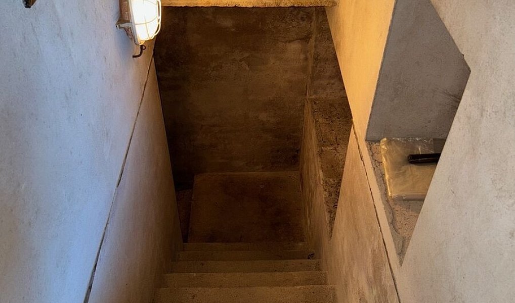 Prodej domu 70 m² s pozemkem 2 388 m², Záhornice – náhled fotky 12