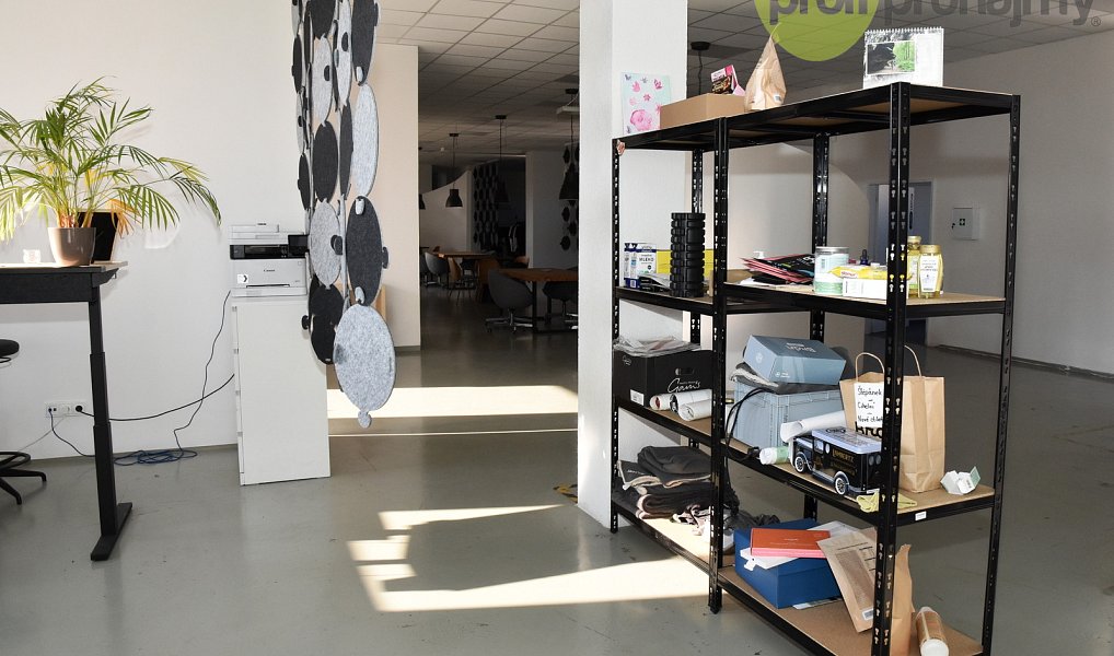 Pronájem obchodních prostor 701 m², Ostrava – náhled fotky 11