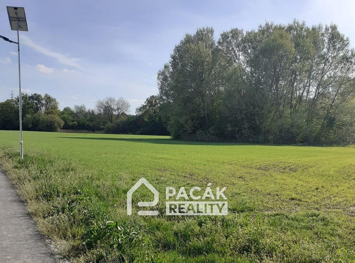 Prodej pozemku 15 995 m² – fotografie 2