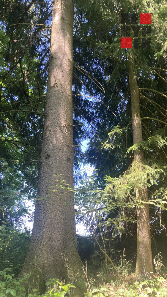Fotka 6 z 10