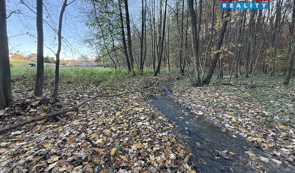 Prodej lesa 1 901 m², Velká Polom – náhled fotky 2