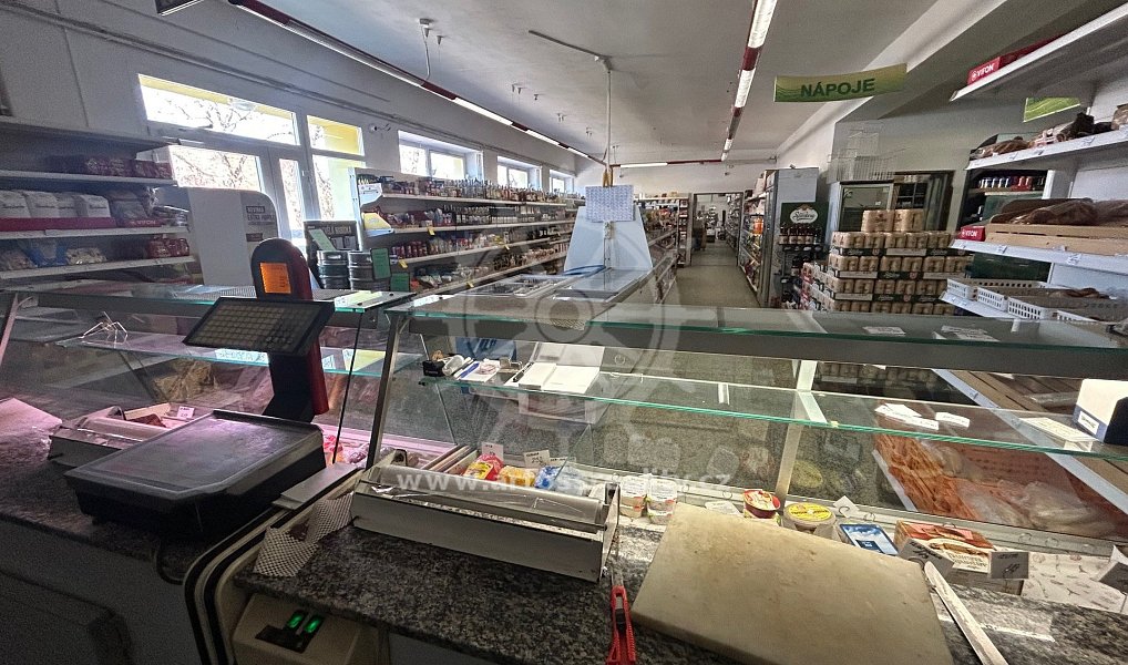 Prodej obchodních prostor 505 m², Prace – náhled fotky 4