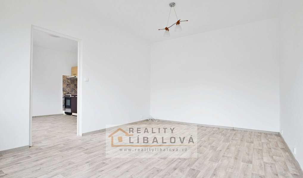 Pronájem bytu 1+1 35 m², Ústí nad Labem – náhled fotky 4
