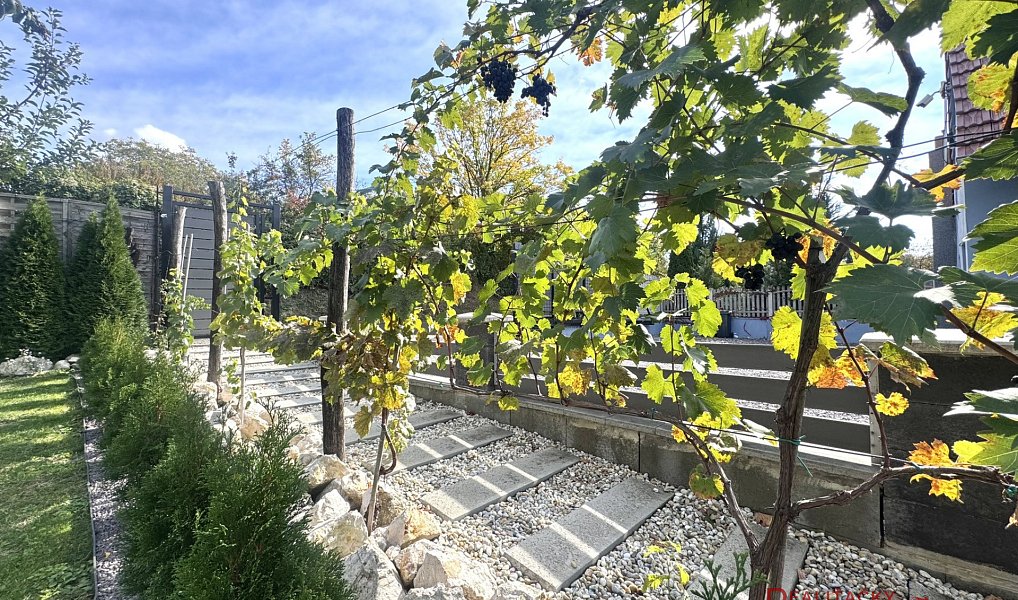 Prodej chaty/chalupy 68 m² s pozemkem 769 m², Mikulov – náhled fotky 15