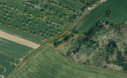 Dražba pole 2 376 m², Nová Ves u Mladé Vožice