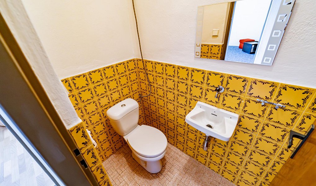 Prodej domu 261 m² s pozemkem 554 m², Uherské Hradiště – náhled fotky 18
