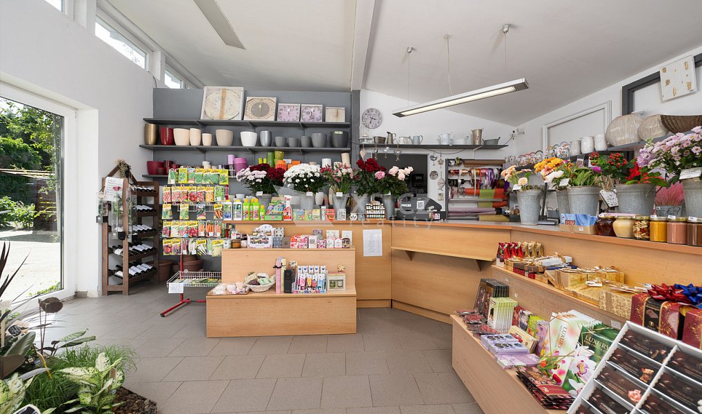 Prodej obchodních prostor 130 m², Odolena Voda – fotka 1 z 37