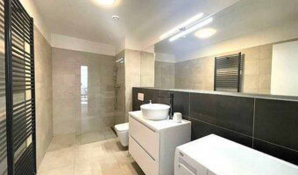 Pronájem bytu 1+kk 55 m², Brno – náhled fotky 4