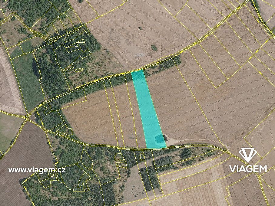 Prodej pole 6 040 m² – fotografie 2