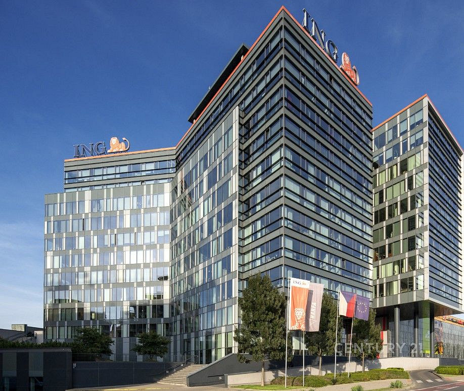 Pronájem kanceláře 495 m² — photo 4