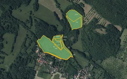 Prodej louky 58 156 m², Třebenice - Medvědice, okres Litoměřice