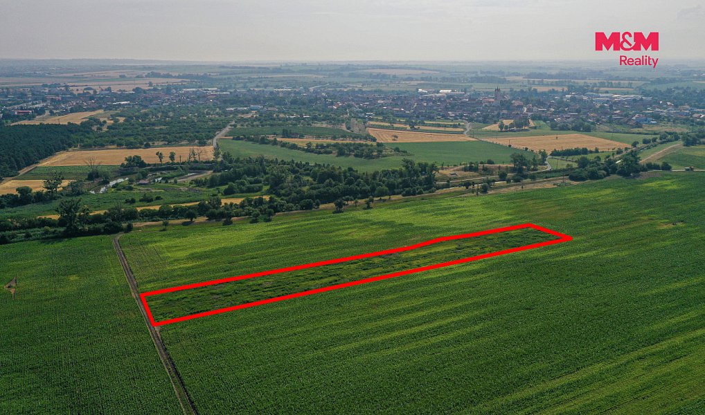 Prodej pole 9 227 m², Podivín – náhled fotky 11