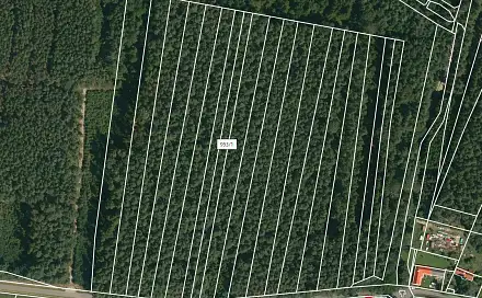 Prodej lesa 2 085 m², Dražíč, okres České Budějovice