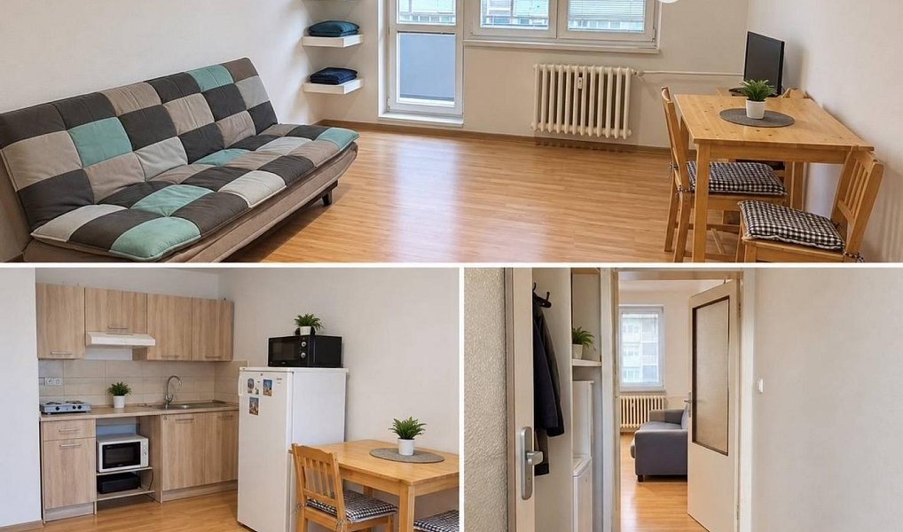 Pronájem bytu 1+kk 30 m², Ostrava – fotka 1 z 3