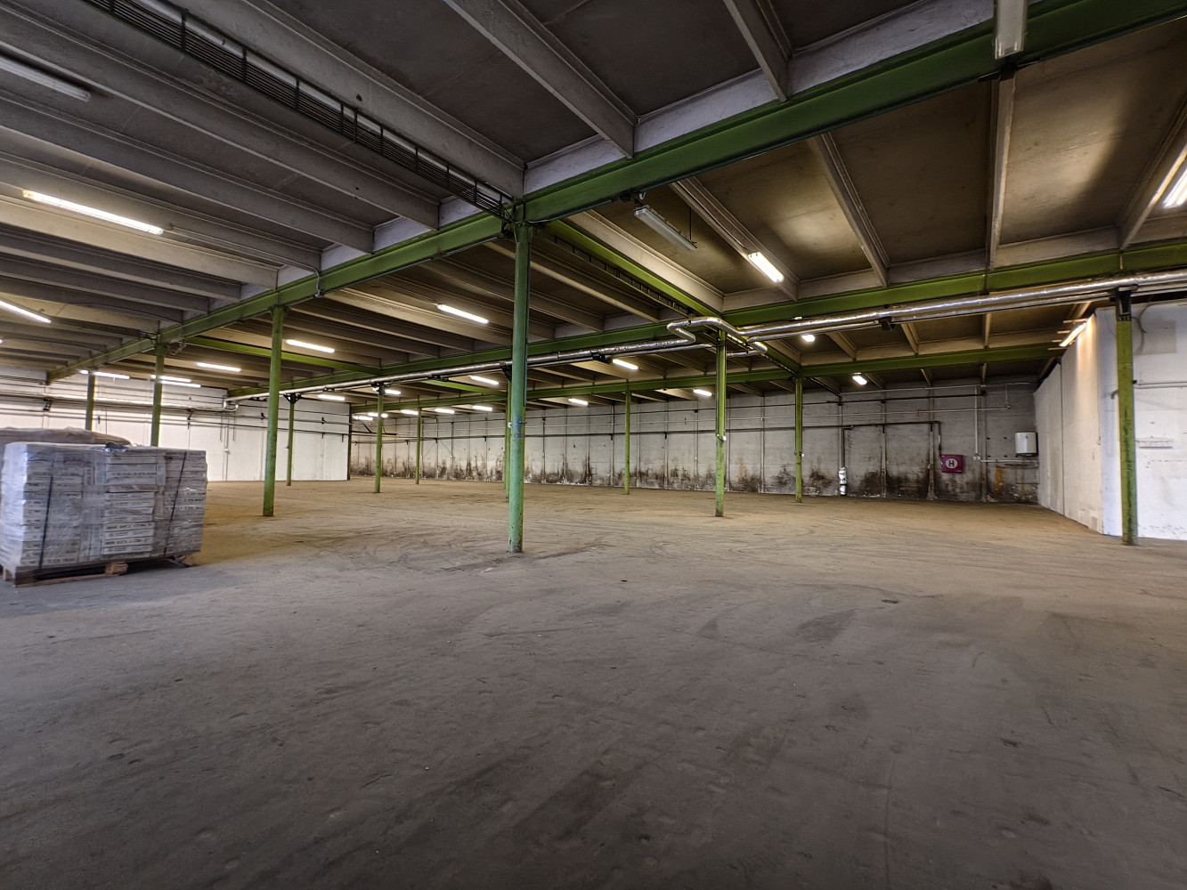 Pronájem skladovacích prostor 1 000 m² – fotografie 5