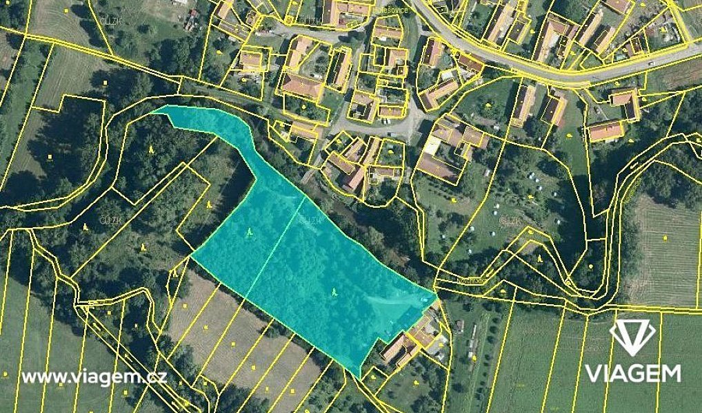 Prodej lesa 1 085 m², Chroustovice – náhled fotky 2