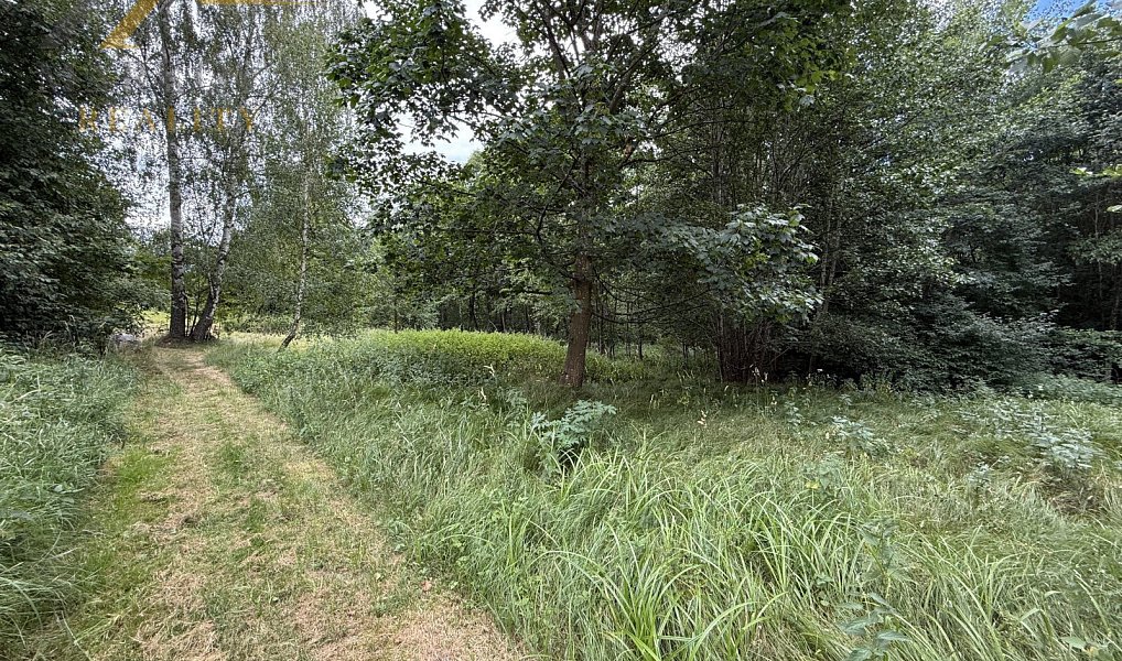 Prodej domu 219 m² s pozemkem 4 179 m², Bujanov – náhled fotky 30