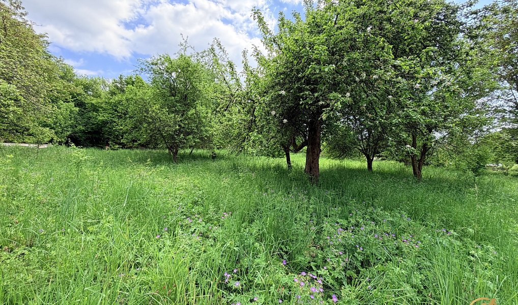 Prodej domu 290 m² s pozemkem 3 795 m², Bozkov – náhled fotky 5