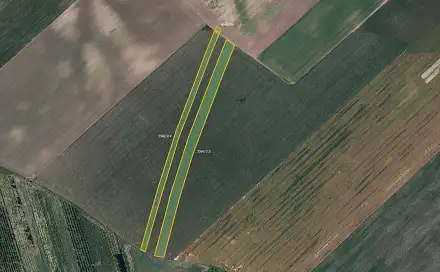 Prodej pole 19 254 m², Čejkovice, okres Hodonín