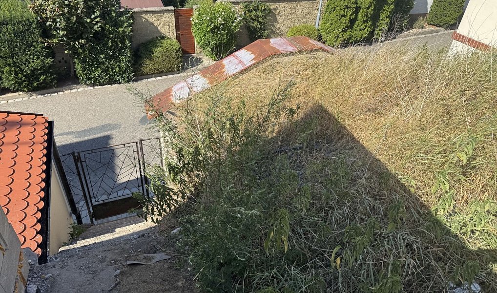 Historický vinný sklep s pozemkem pro rekreační objekt ve Valticích, Valtice – náhled fotky 6