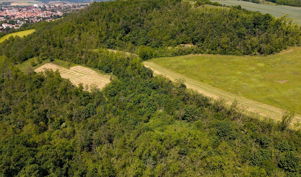 Prodej zahrady 8 724 m², Ivančice – náhled fotky 15