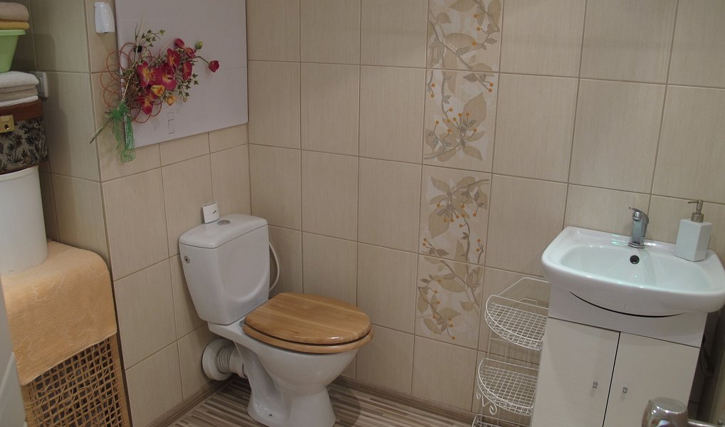 Prodej bytu 1+1 37 m², Frýdek-Místek – náhled fotky 6