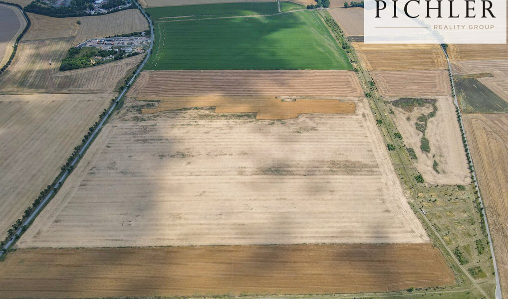 Prodej pole 46 465 m², Chýně – náhled fotky 3