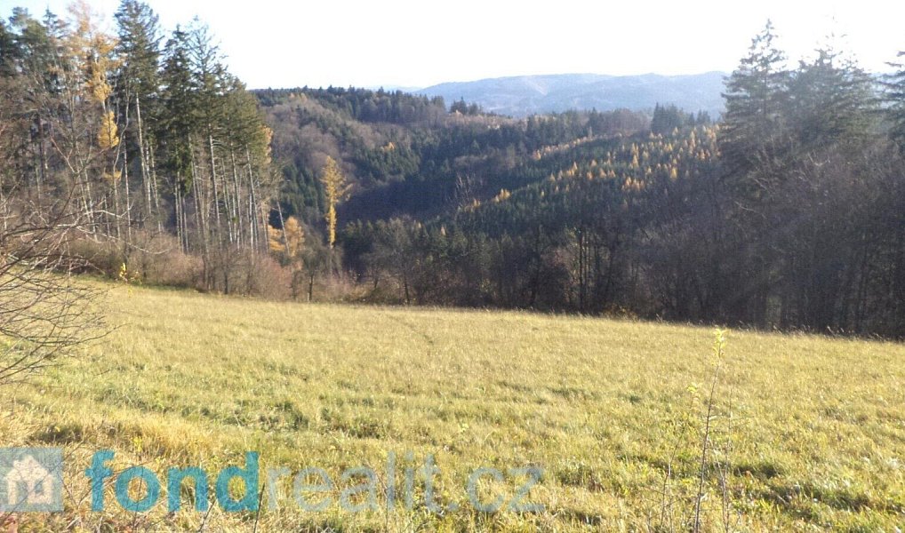 Prodej pole 13 881 m², Seninka – náhled fotky 6