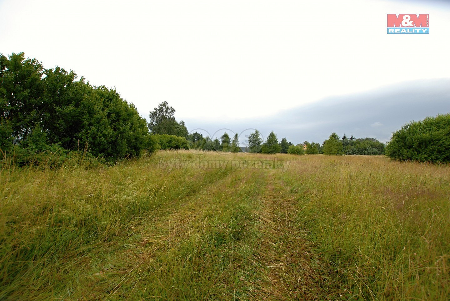 Prodej pozemku 12 000 m²