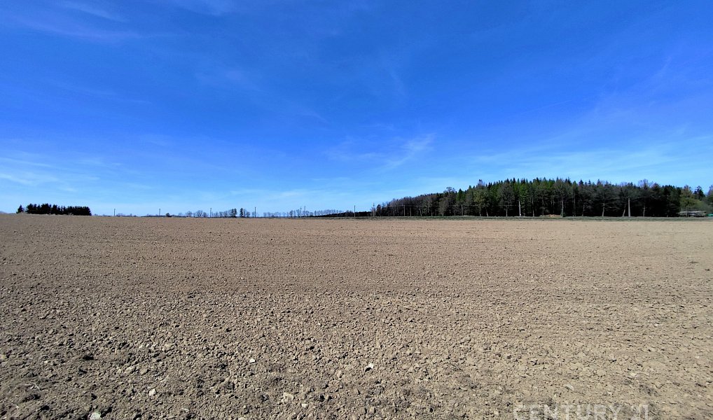 Prodej pole 40 119 m², Nová Včelnice – náhled fotky 9